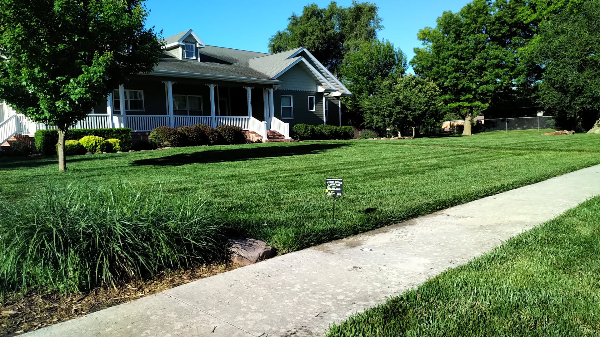 Thick green lawn by Windy Ridge